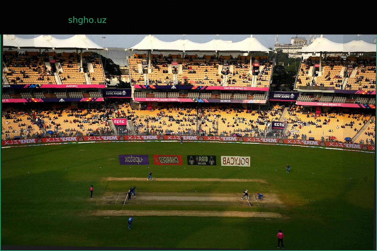 Ченнаи примет матч-открытие BBL между Renegades и Scorchers