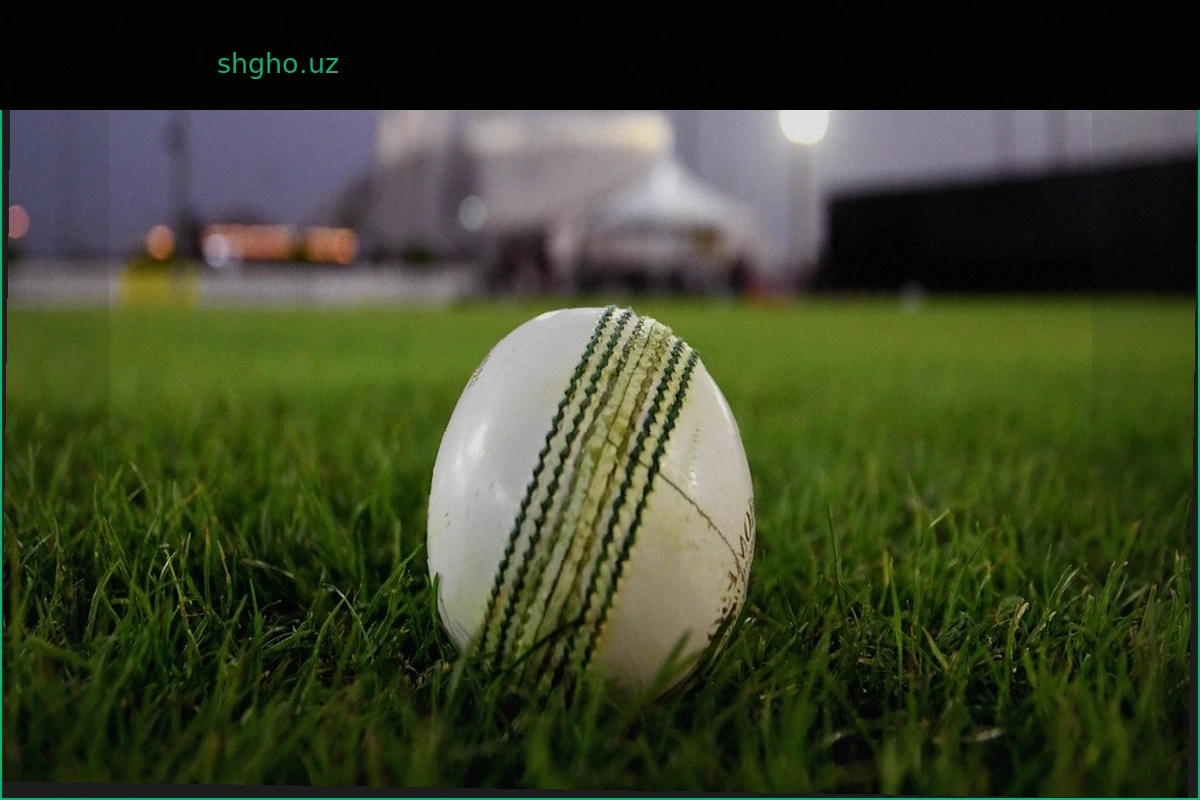Саудовская Аравия примет первую лигу Dunes League T20 с октября