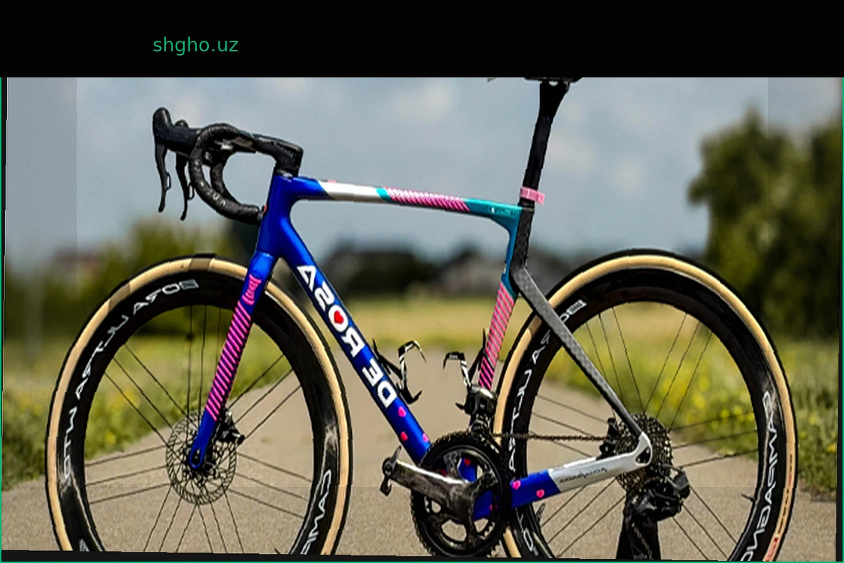 Selle SMP: Ключевая Роль на Джиро д'Италия с Bardiani CSF 7 Faber