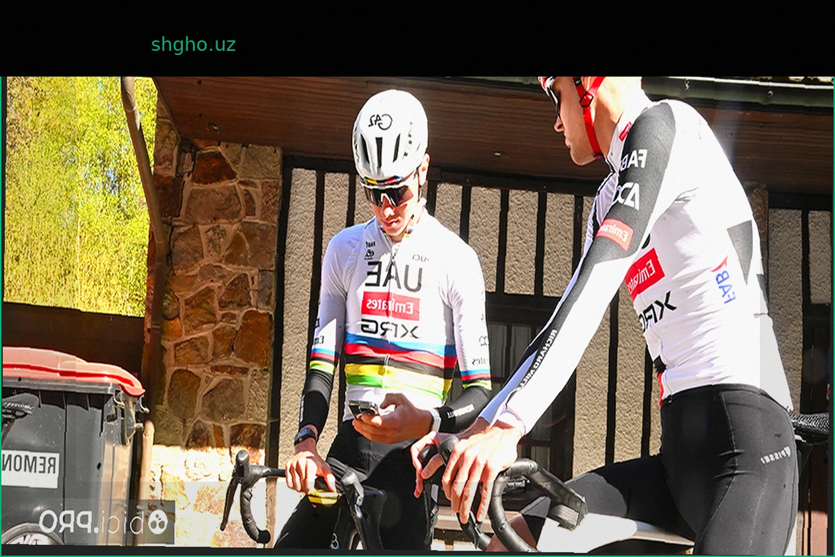 Три претендента на Льеж: Сейшас и Ремко готовятся к битве с Погачаром